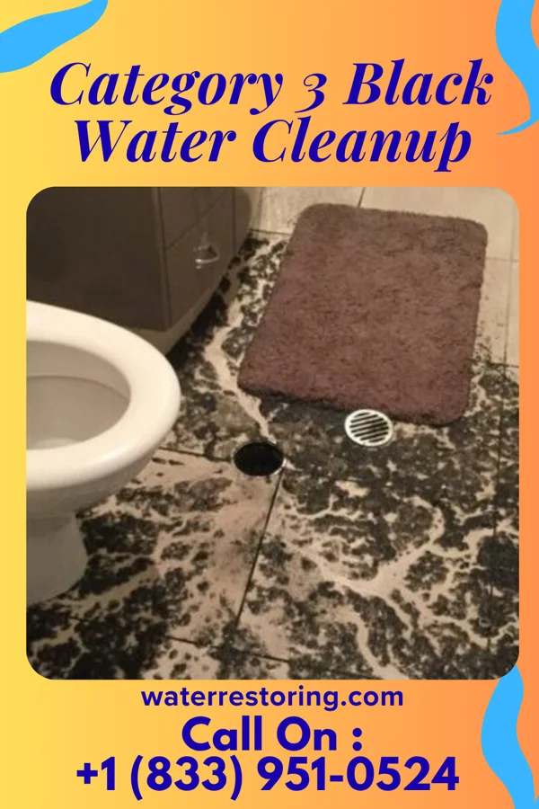 Category 3 Black Water Cleanup in North River, ND